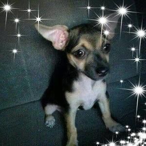 Meet your Posher, Sergio